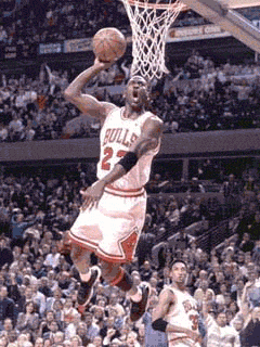 bulls.gif