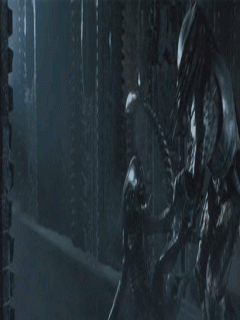 alienvspr.gif