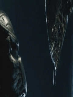 alienvspre.gif