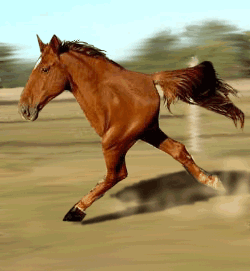 pinkun.gif