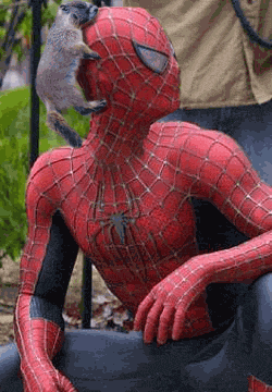 sukspider.gif